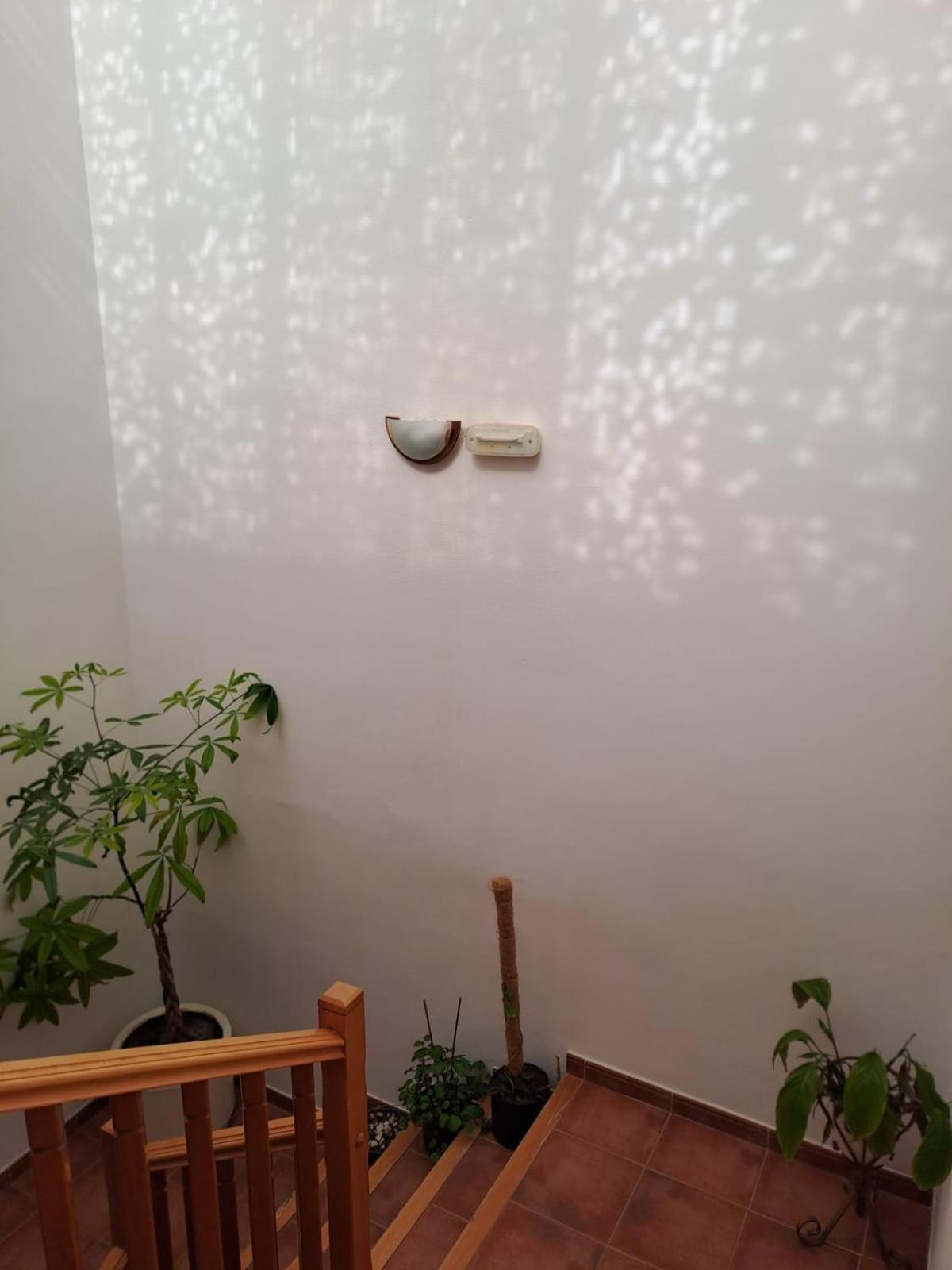 Delicias Hotell Peraltilla Exteriör bild